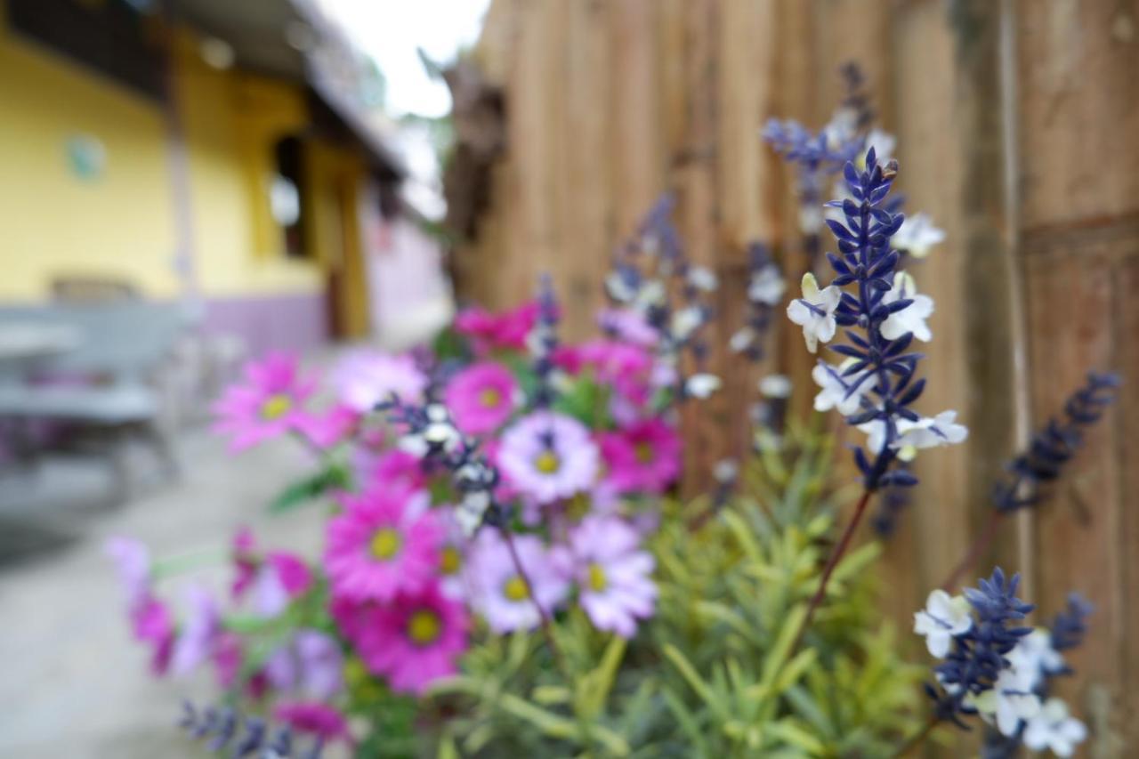 קו לנטה Marina Hut Guest House מראה חיצוני תמונה